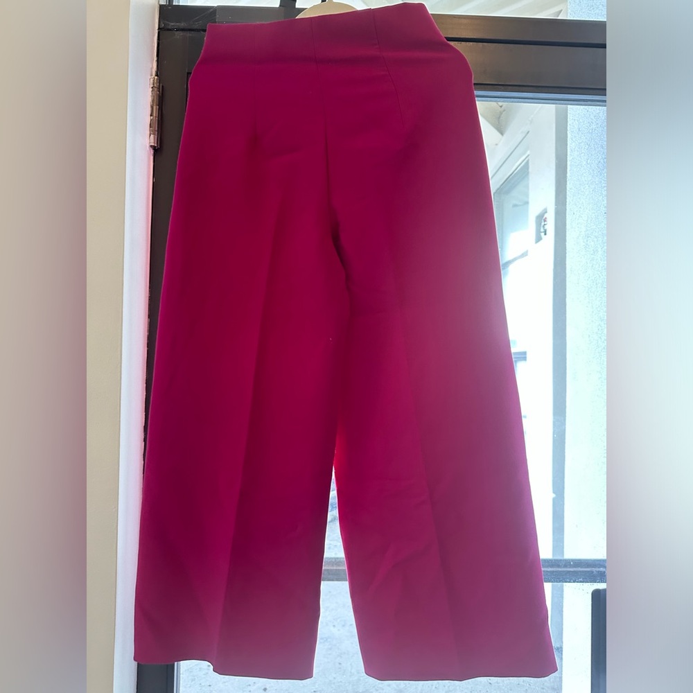 Brand new Zara pants (Size - M, Waist 28).  Never worn.